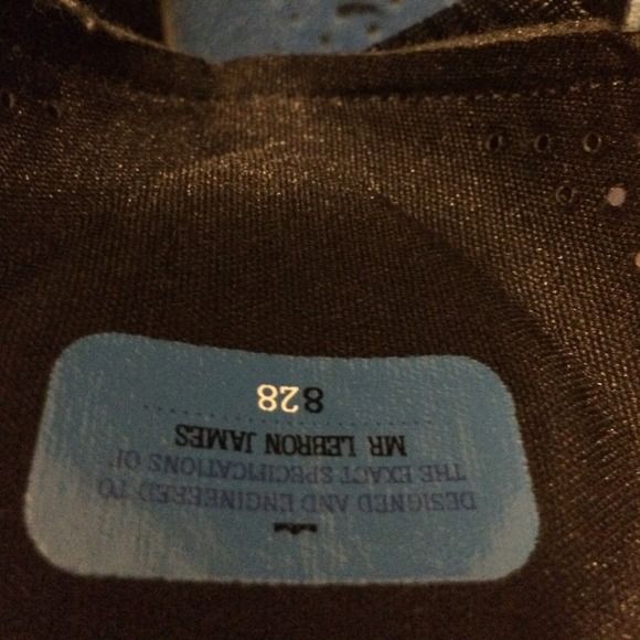 LeBron senkers - Picture 3 of 4
