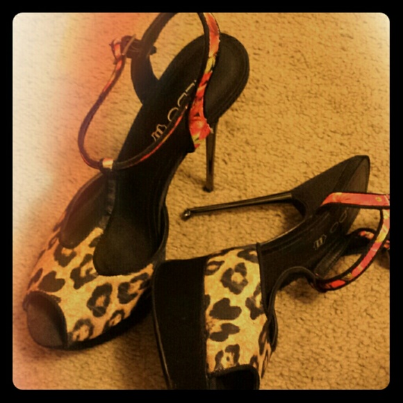 Leopard and rose heels