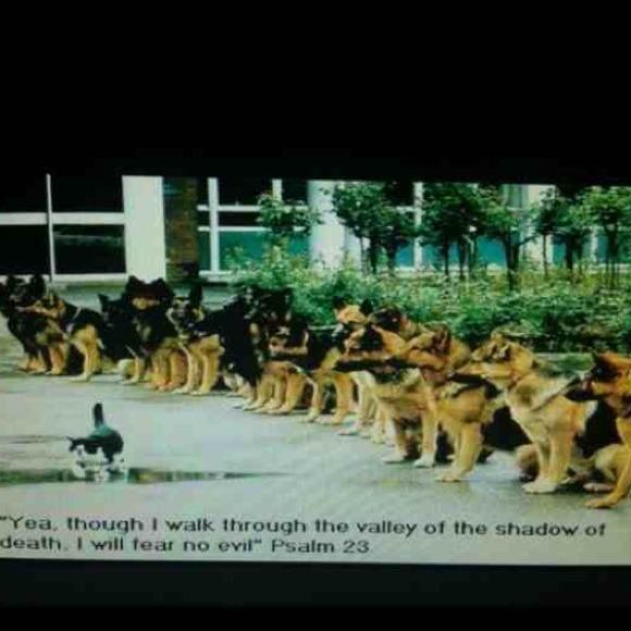 Funny stuff! - Picture 2 of 4