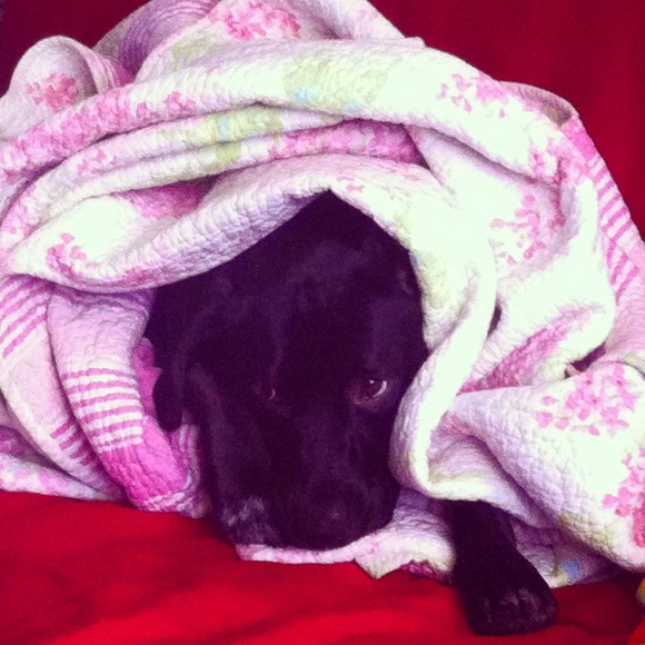 Meet your Seller~<3 drea - Picture 3 of 4