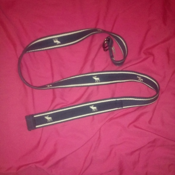 Abercrombie belt