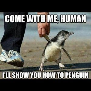 Come check out my closet ;)