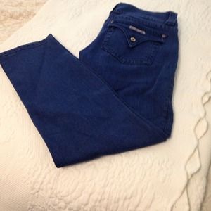Hudson and j brand jeans bundle