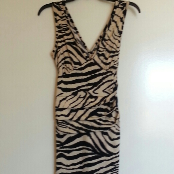 Animal Print Dress