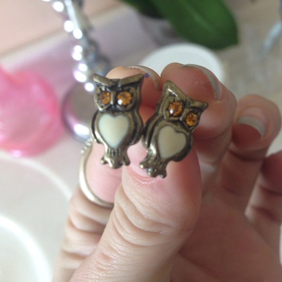 Owl bundle!! - Picture 2 of 3