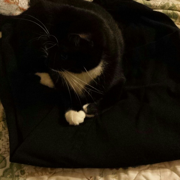 Greta will be listing tonight for her Aunt