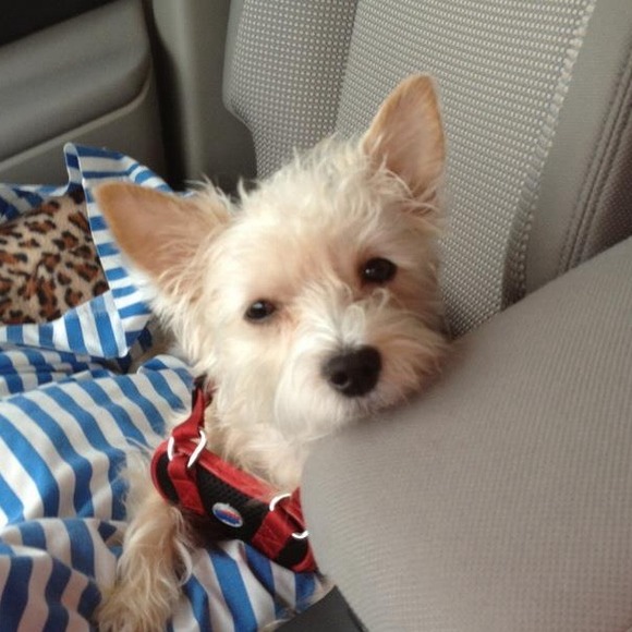 MEET YOUR SELLER 👸🍭💎 - Picture 2 of 4