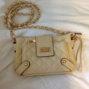 Nude and gold purse/clutch