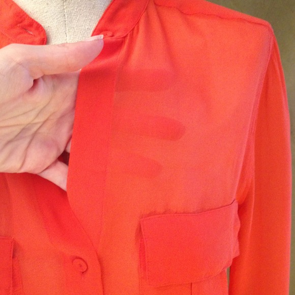 Host Pick! BCBG MaxAzria Anderson sheer blouse. - Picture 4 of 4