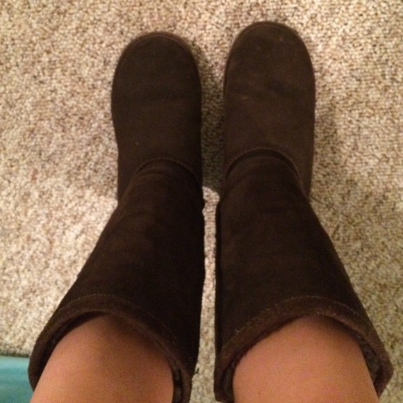 Dark brown bear paw's