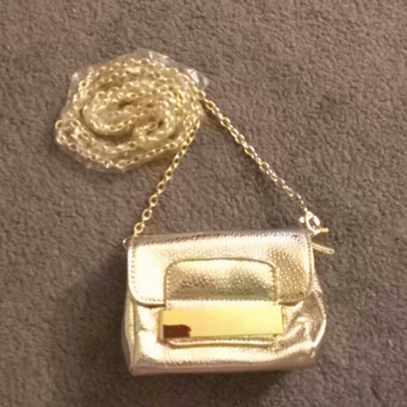 Mini Gold purse