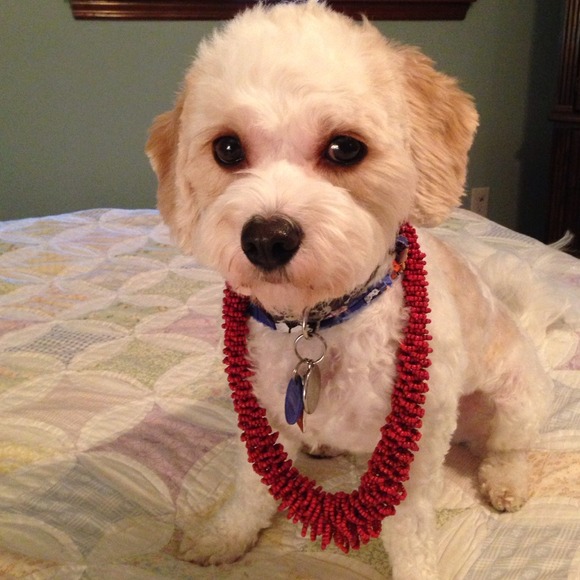 💢SOLD💢Unique red/orange beaded necklace