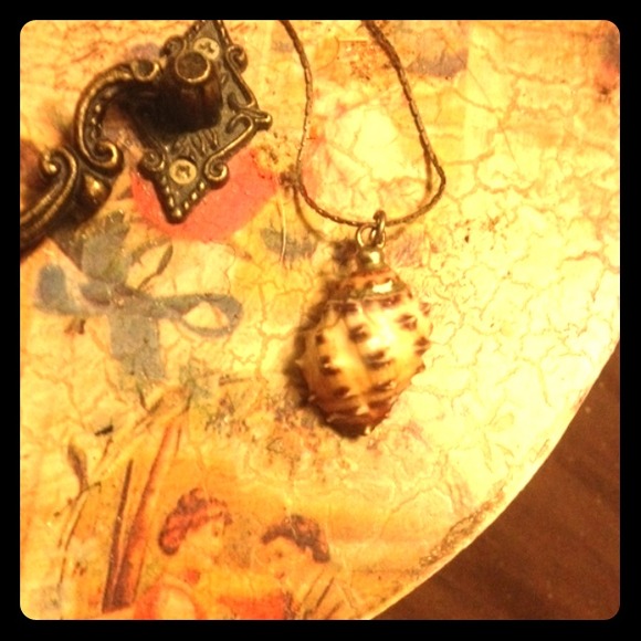 Gold trimmed shell necklace