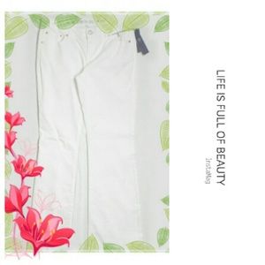 NWT Jennifer Lopez Jeans