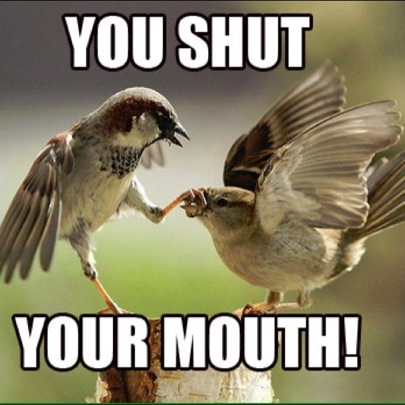 If you don't gave anything nice to say...
