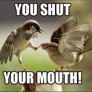 If you don't gave anything nice to say...
