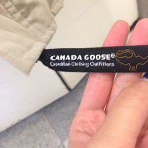 Canada goose photos