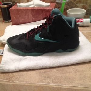 Lebron 11 jade