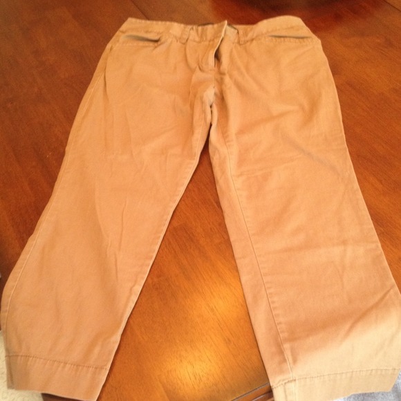 Outback Red for The Limited - dark khaki Capris.