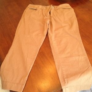 Outback Red for The Limited - dark khaki Capris.