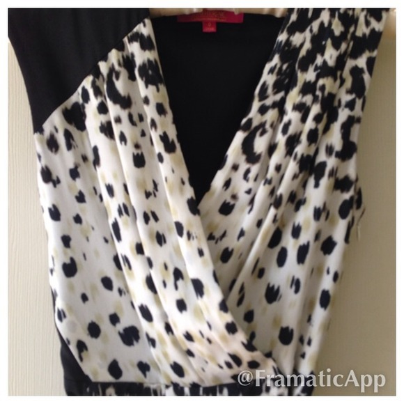 Catherine Catherine Malandrino Sessa Dress - Picture 2 of 2