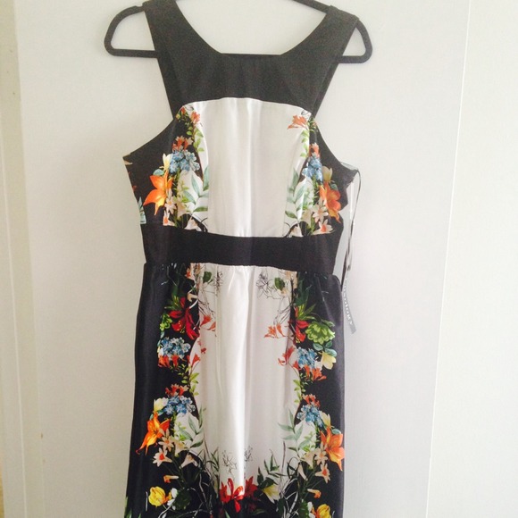 NWT Luxology Floral Border Print Dress, Size 10