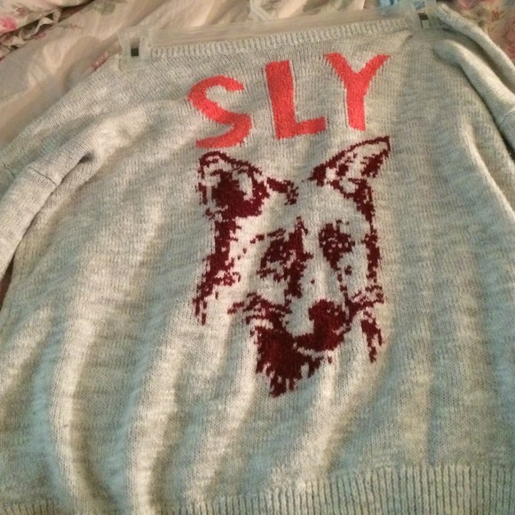 Hollister sweater