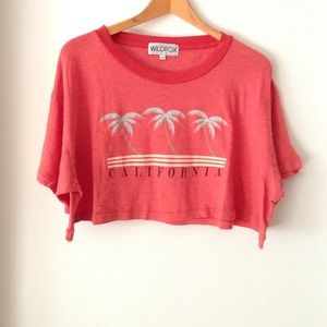 Wildfox crop top