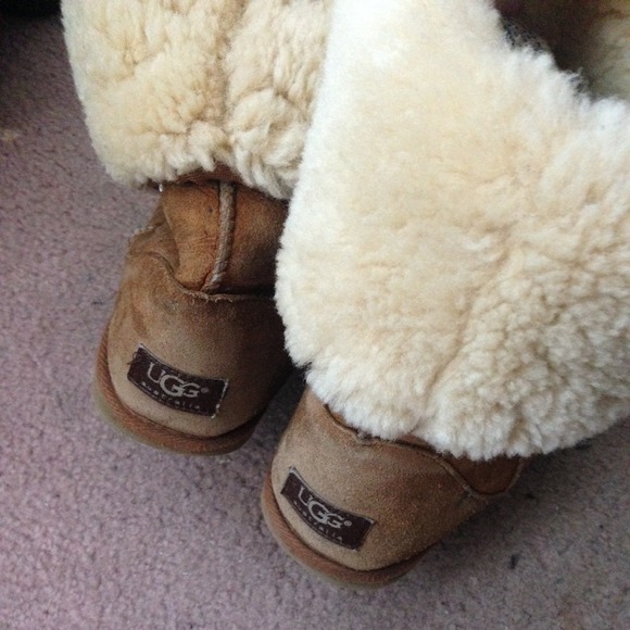 Tall Chestnut Uggs