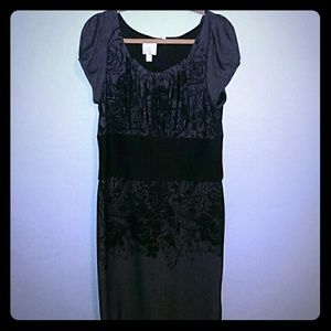 Bundle for lorenatri