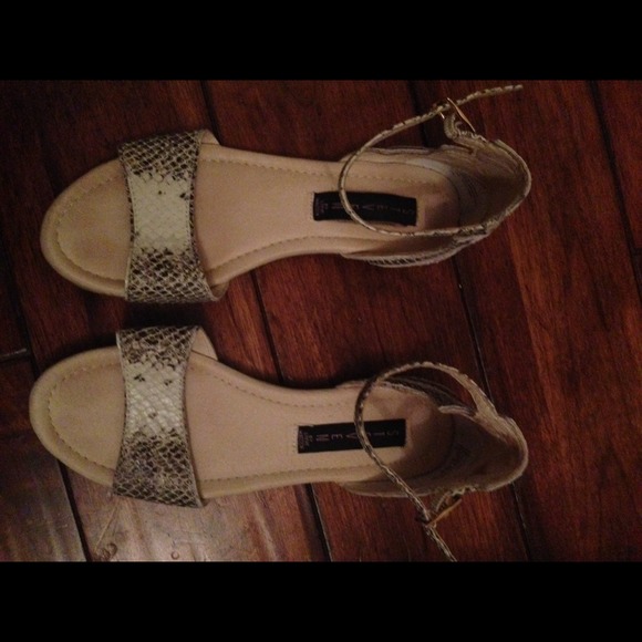 Steve Madden Snake Skin Flats - Picture 1 of 3