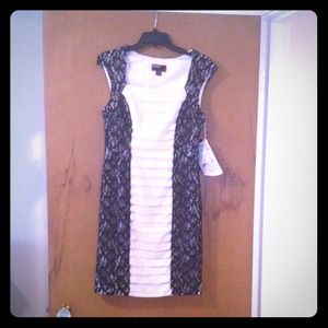 Scarlett Ivory/Black Lace Cocktail Dress