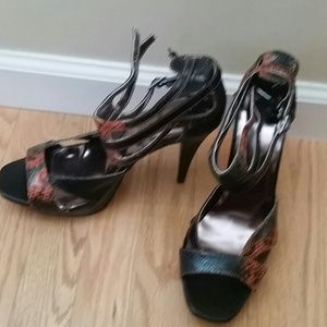 Shoe's
