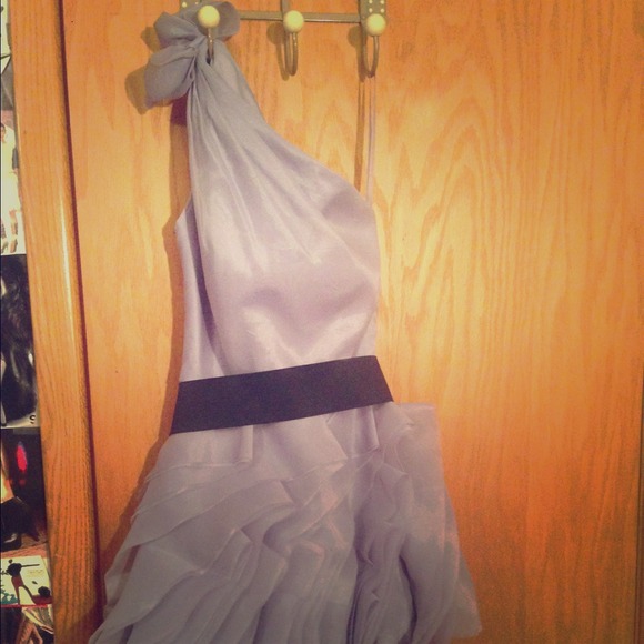 Vera Wang  One Shoulder Lavender Organza Dress