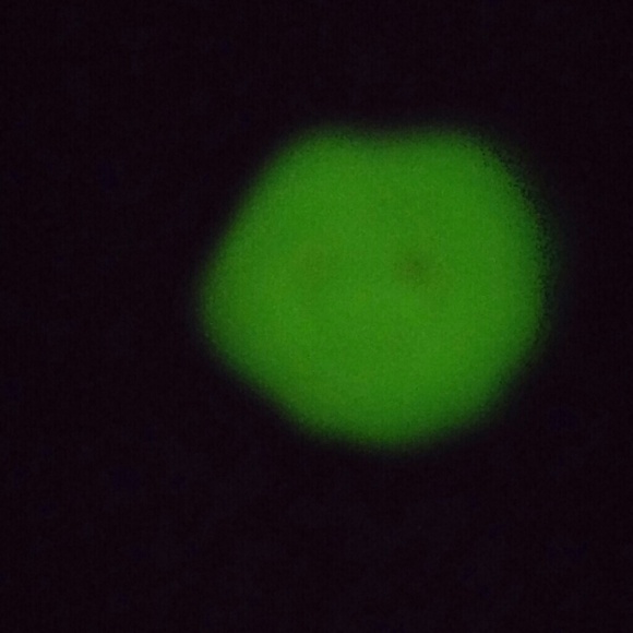 Ring - Picture 3 of 3