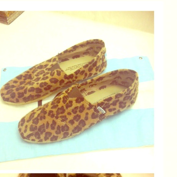 Cheetah toms