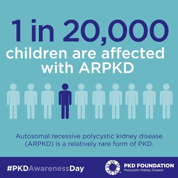 SHARE to spread awareness - Picture 4 of 4