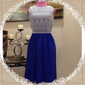 Banana Republic Pleated Skirt XS