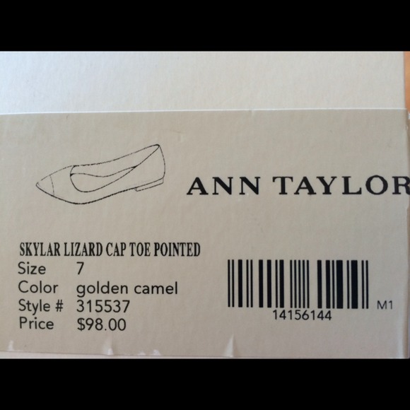 Brown pointed Ann Taylor ballet flats - Picture 3 of 4
