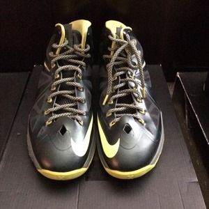 LeBron James Dunkman 10