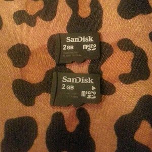 x2 Sandisk 2GB Micro SD Memory Card
