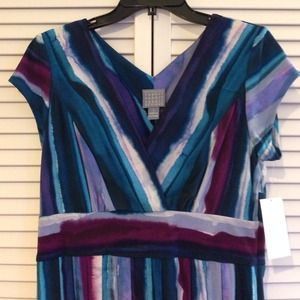 💕 NWT ombré striped dress