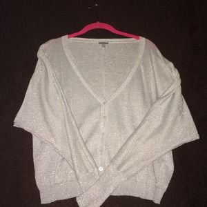 New 🎉 Silver Cartigan Sweater
