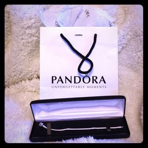 Pandora Bracelet.