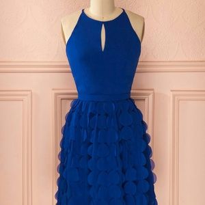 Royal Flirt Party Dress