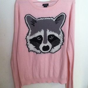 Raccoon Sweater