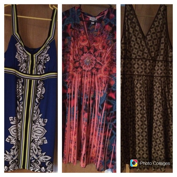 HOLDING FOR tomanypets 3 Dresses