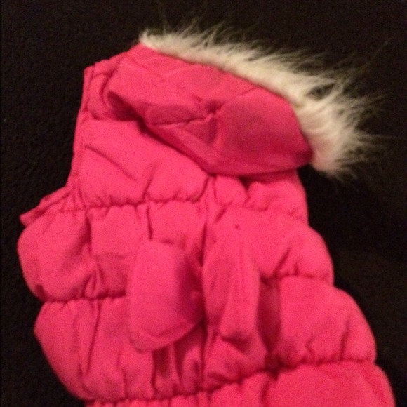 Small dog jacket