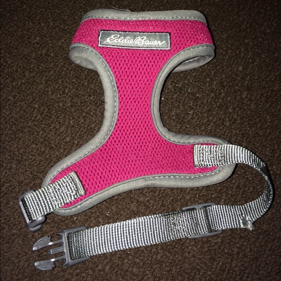 Xs dog harness