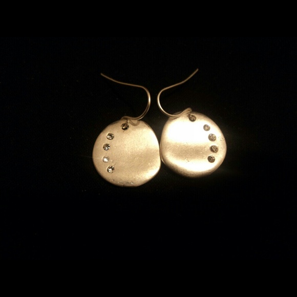 Fabulously Shiny Earrings